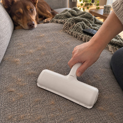 Pet hair roller rolling dog hair off a fabric couch cushion